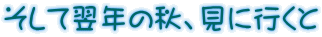 そして翌年の秋、見に行くと 
